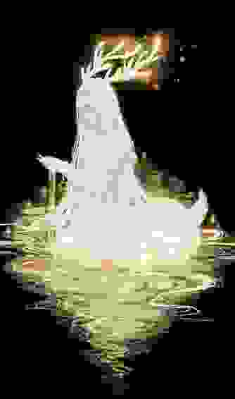 Аниме арты
