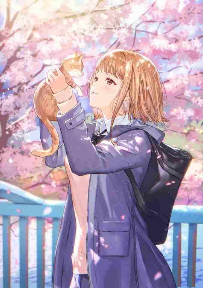 Аниме картика, Anime pic