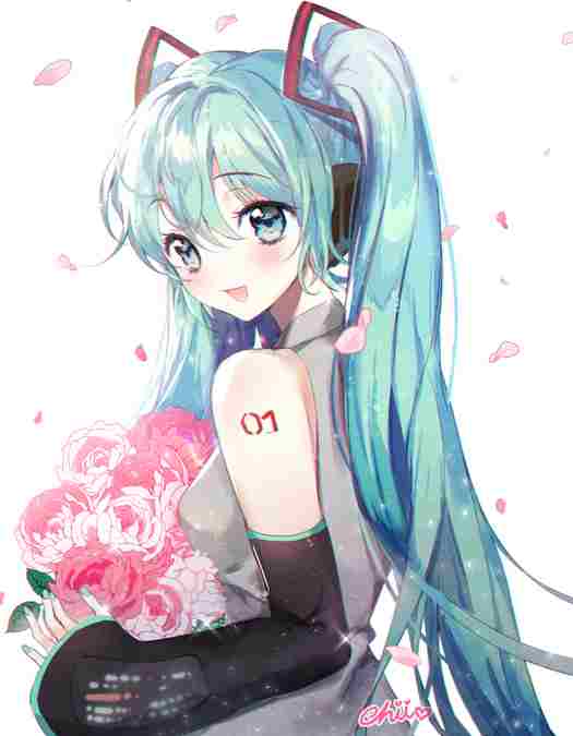 Аниме картика, Anime pic